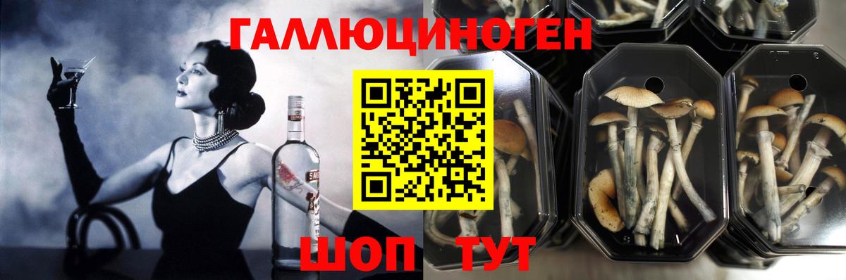 Галлюциногенные грибы ЛСД  Галлюциногенные грибы GOLDEN TEACHER  магазин    Вход с VPN  Карпинск 